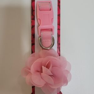 Xoxo Small Dog Collar